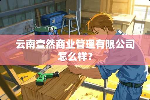 云南壹然商业管理有限公司怎么样？