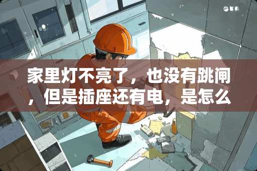 家里灯不亮了，也没有跳闸，但是插座还有电，是怎么回事，怎么解决。谢谢！