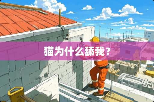 猫为什么舔我？