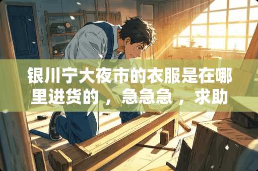 银川宁大夜市的衣服是在哪里进货的 ，急急急 ，求助 ~~~