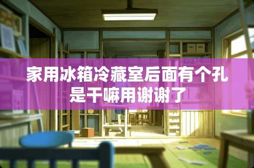 家用冰箱冷藏室后面有个孔是干嘛用谢谢了