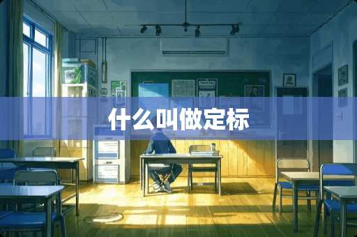 什么叫做定标