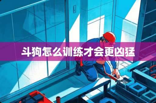 斗狗怎么训练才会更凶猛