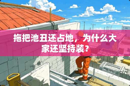 拖把池丑还占地，为什么大家还坚持装？