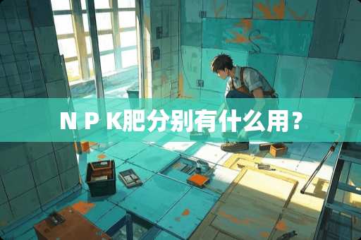 N P K肥分别有什么用？