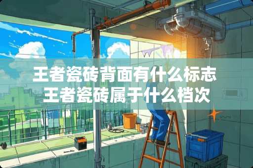 王者瓷砖背面有什么标志 王者瓷砖属于什么档次