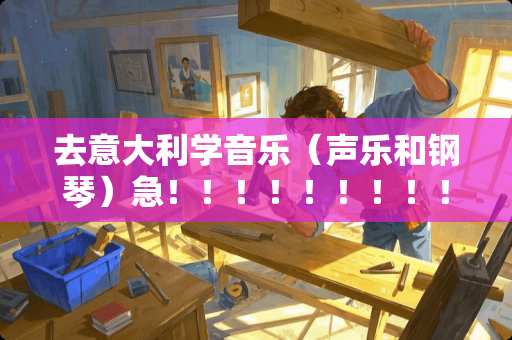 去意大利学音乐（声乐和钢琴）急！！！！！！！！！！！！