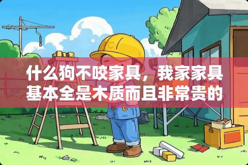 什么狗不咬家具，我家家具基本全是木质而且非常贵的，不经常掉毛，听话懂事的，本人不太喜欢吉娃娃类似的狗 什么猫不会破坏家具