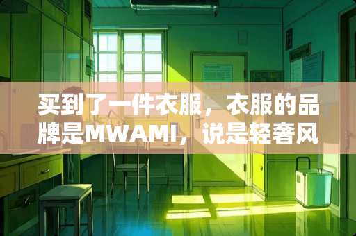 买到了一件衣服，衣服的品牌是MWAMI，说是轻奢风，什么是轻奢 麻烦推荐几款男士轻奢品牌