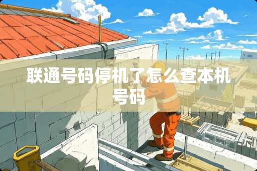 联通号码停机了怎么查本机号码