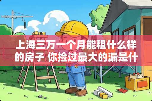 上海三万一个月能租什么样的房子 你捡过最大的漏是什么