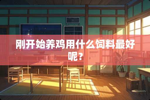 刚开始养鸡用什么饲料最好呢？