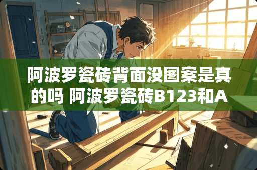 ***瓷砖背面没图案是真的吗 ***瓷砖B123和A234有什么区别