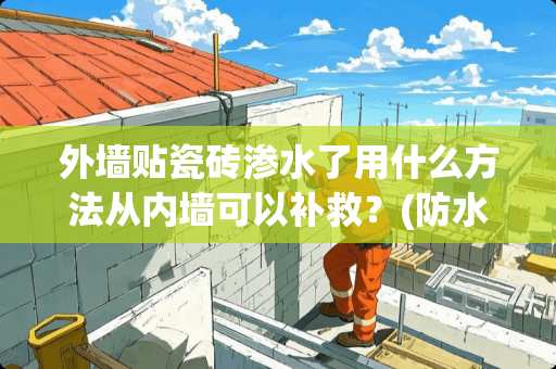 外墙贴瓷砖渗水了用什么方法从内墙可以补救？(防水剂)？