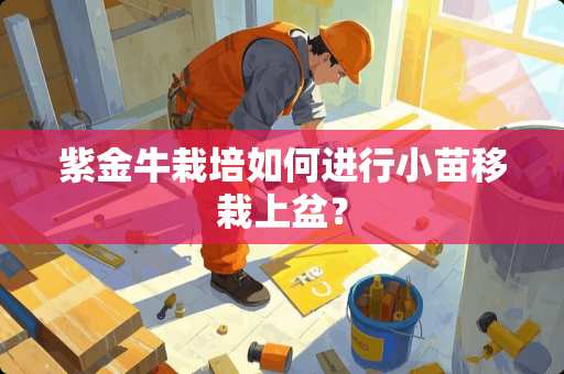 紫金牛栽培如何进行小苗移栽上盆？