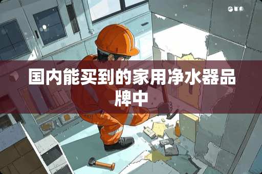 国内能买到的家用净水器品牌中