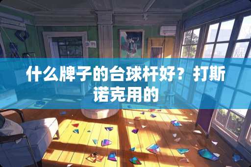 什么牌子的台球杆好？打**克用的