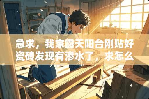 急求，我家露天阳台刚贴好瓷砖发现有渗水了，求怎么解决，不想敲砖哦，求良方 瓷砖防水没做好现在渗水怎么处理