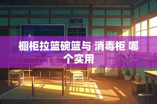 橱柜拉篮碗篮与 消毒柜 哪个实用