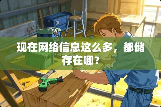 现在网络信息这么多，都储存在哪？