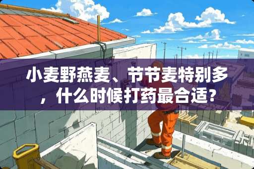 小麦野燕麦、节节麦特别多，什么时候打药最合适？