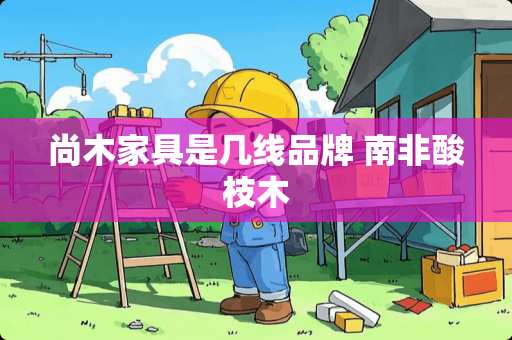 尚木家具是几线品牌 南非酸枝木