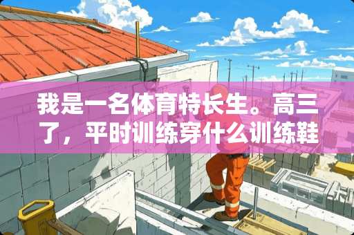 我是一名体育特长生。高三了，平时训练穿什么训练鞋好？