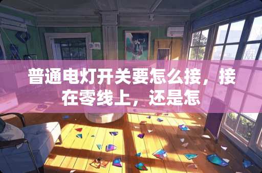 普通电灯开关要怎么接,接在零线上,还是怎 普通电灯开关要怎么接,接在零线上,还是怎