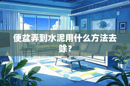 便盆弄到水泥用什么方法去除？