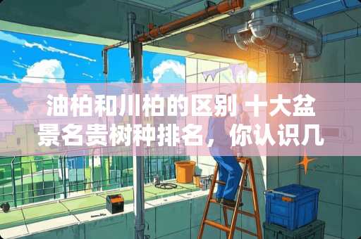 油柏和川柏的区别 十大盆景名贵树种排名，你认识几个