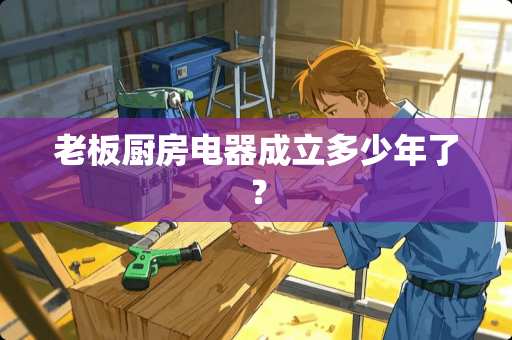 老板厨房电器成立多少年了？