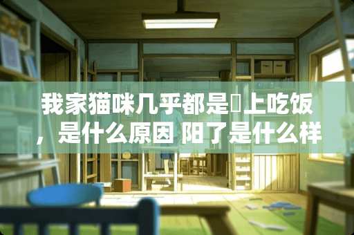 我家猫咪几乎都是晩上吃饭，是什么原因 阳了是什么样的体验