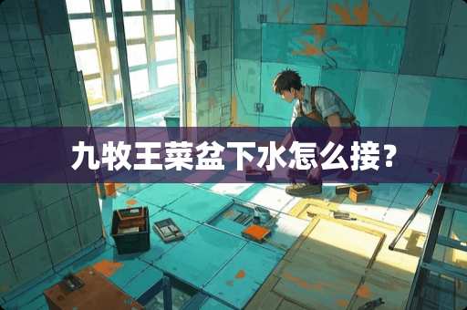 九牧王菜盆下水怎么接？