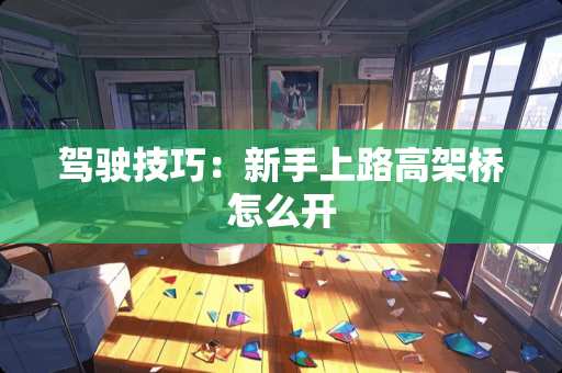 驾驶技巧：新手上路高架桥怎么开