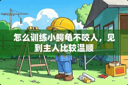 怎么训练小鳄龟不咬人，见到主人比较温顺