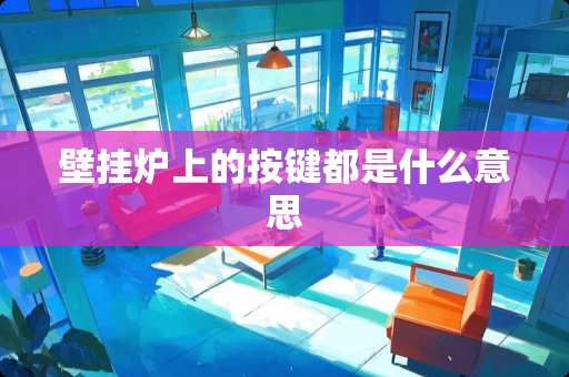 壁挂炉上的按键都是什么意思