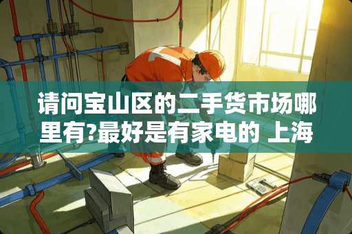 请问宝山区的二手货市场哪里有?最好是有家电的 上海哪个宜家最大