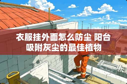 衣服挂外面怎么防尘 阳台吸附灰尘的最佳植物