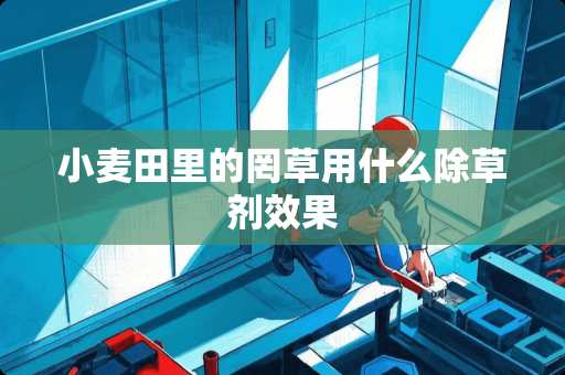 小麦田里的罔草用什么除草剂效果