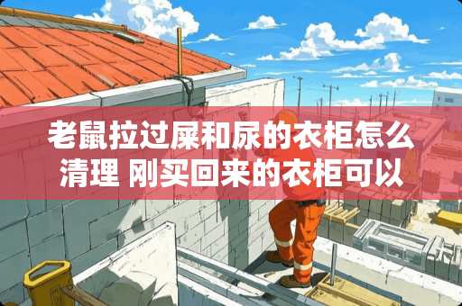 老鼠拉过屎和尿的衣柜怎么清理 刚买回来的衣柜可以用消毒湿巾擦拭吗