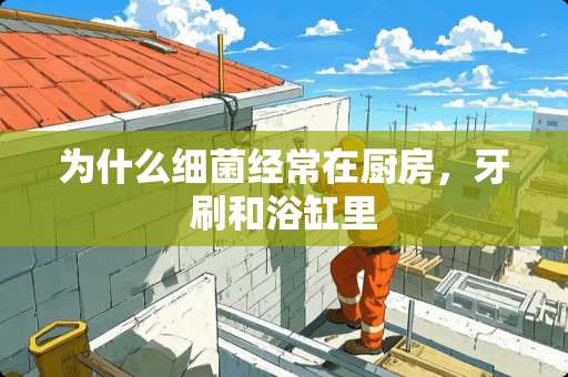 为什么细菌经常在厨房，牙刷和浴缸里