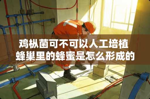 鸡枞菌可不可以人工培植 蜂巢里的蜂蜜是怎么形成的