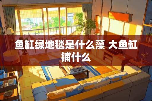 鱼缸绿地毯是什么藻 大鱼缸铺什么