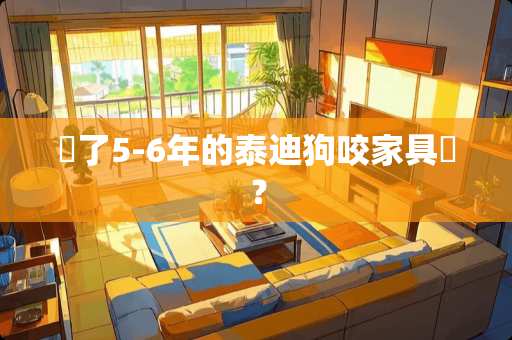 養了5-6年的泰迪狗咬家具嗎？