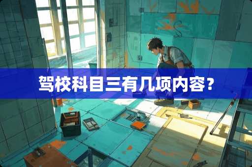 驾校科目三有几项内容？