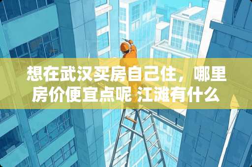 想在武汉买房自己住，哪里房价便宜点呢 江滩有什么好玩的