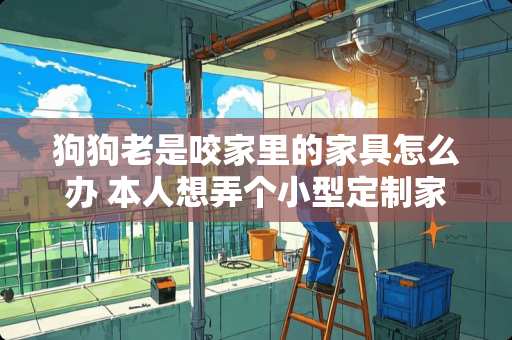 狗狗老是咬家里的家具怎么办 本人想弄个小型定制家具厂，如何找潜在客户