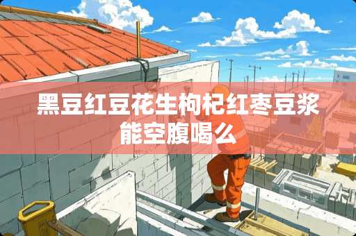 黑豆红豆花生枸杞红枣豆浆能空腹喝么