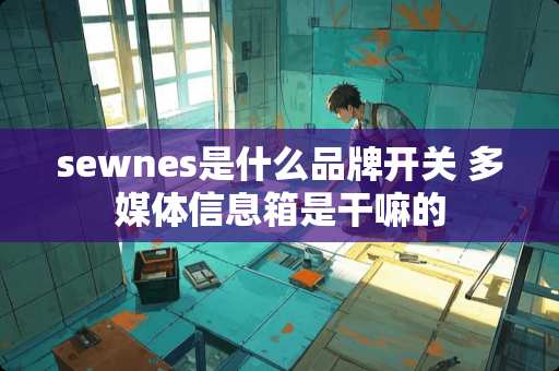 sewnes是什么品牌开关 多媒体信息箱是干嘛的 sewnes是什么品牌开关 多媒体信息箱是干嘛的