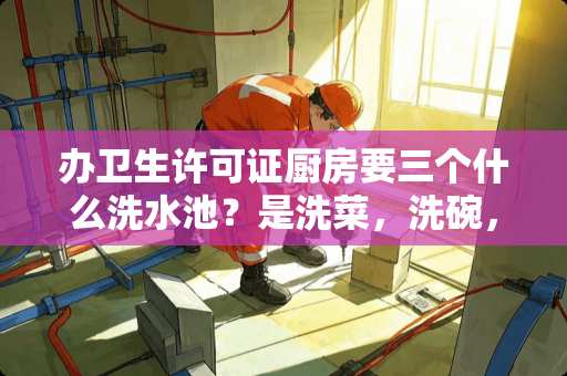 办卫生许可证厨房要三个什么洗水池？是洗菜，洗碗，洗手池吗？